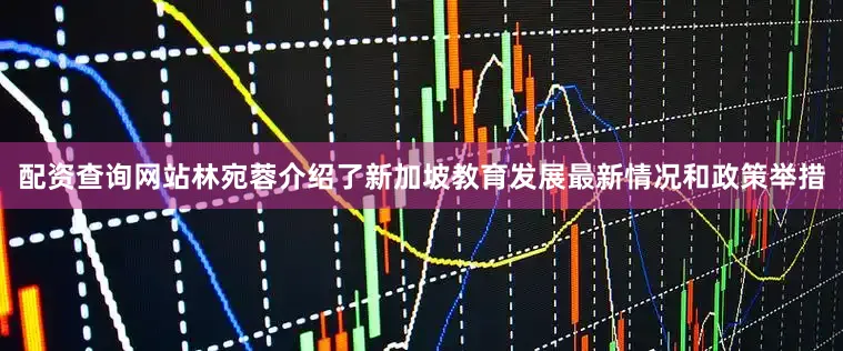 配资查询网站林宛蓉介绍了新加坡教育发展最新情况和政策举措