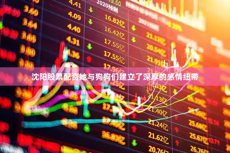 沈阳股票配资她与狗狗们建立了深厚的感情纽带
