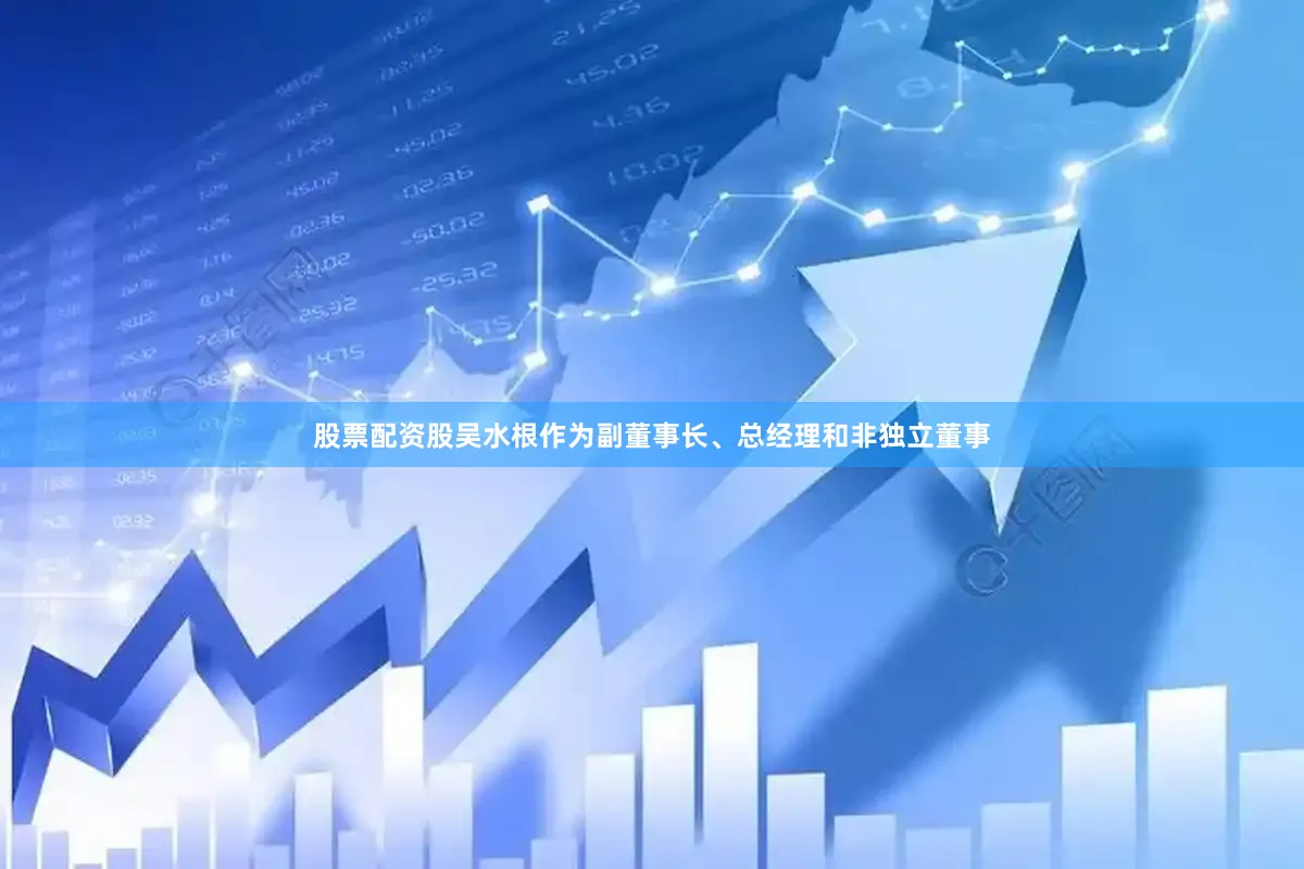 股票配资股吴水根作为副董事长、总经理和非独立董事